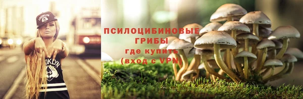 героин Богданович