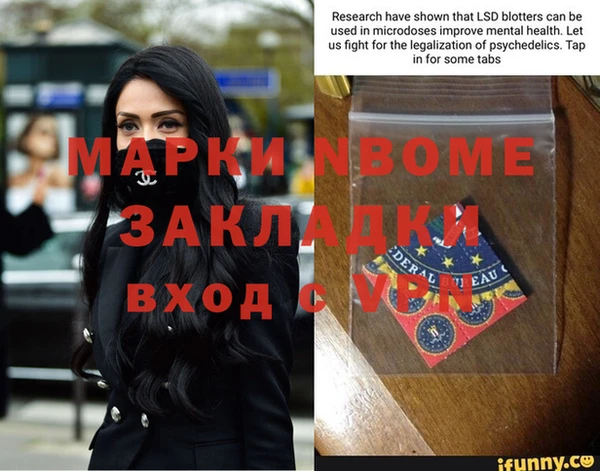 шишки Белокуриха