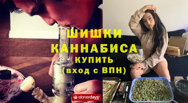 шишки Белокуриха