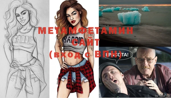 шишки Белокуриха