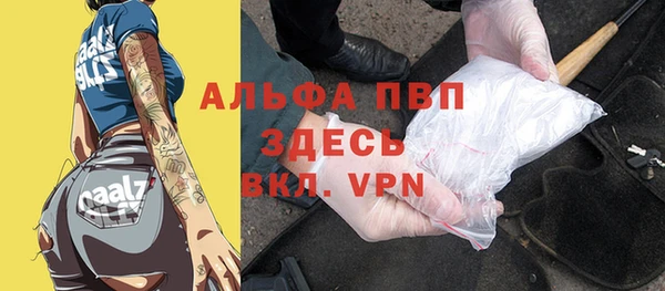 шишки Белокуриха