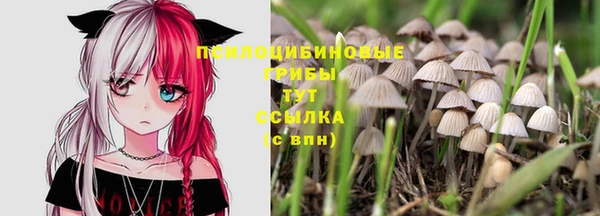 амф Богородицк