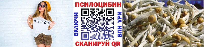Галлюциногенные грибы MAGIC MUSHROOMS  как найти закладки  Малая Вишера 